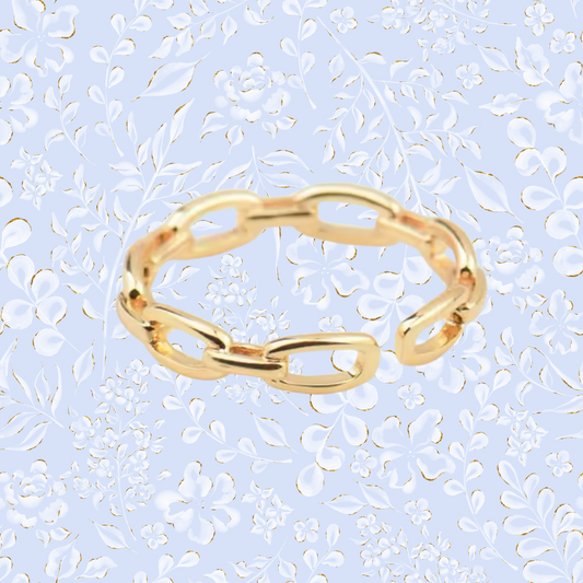 ADJUSTABLE LINK RING ✿ ANA