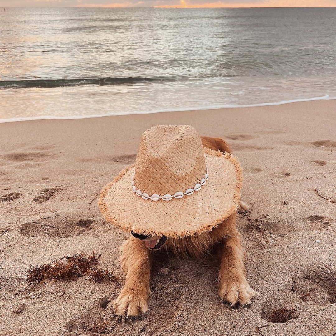 RAFFIA SUN HAT ✿ CALI